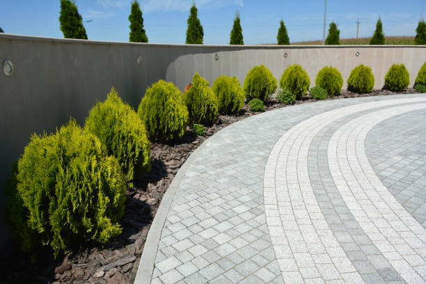 Best Driveway Paver Repair  in Kimball, NE